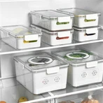 قالب حاوية طعام مربعة